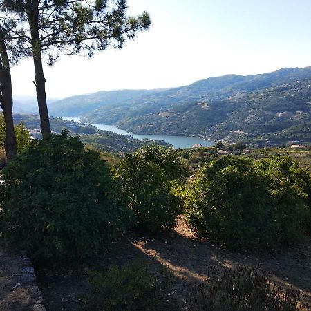 Paraiso Hills - Encostas Do Paraiso: Tranquilidade No Douro Resende Esterno foto