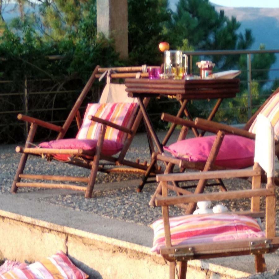 Paraiso Hills - Encostas Do Paraiso: Tranquilidade No Douro Resende Esterno foto