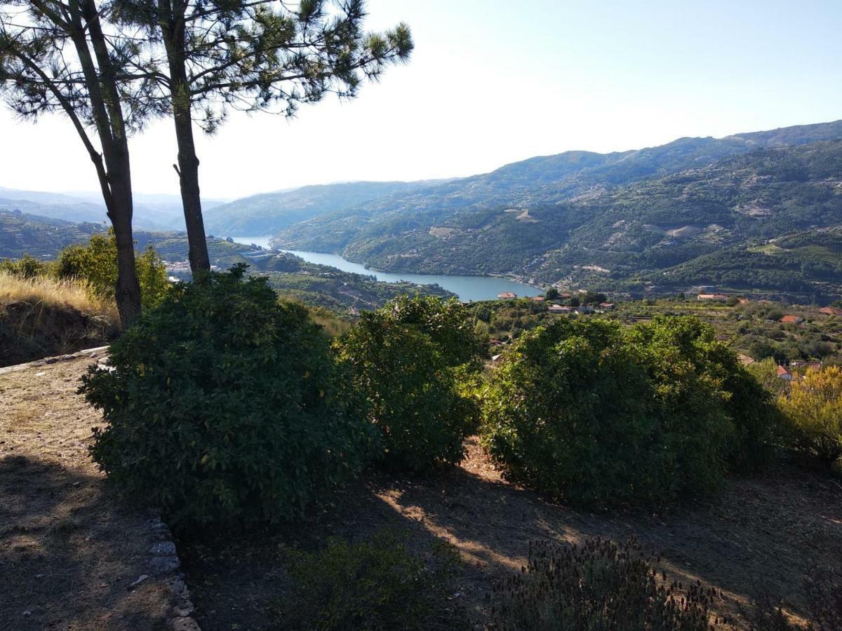Paraiso Hills - Encostas Do Paraiso: Tranquilidade No Douro Resende Esterno foto